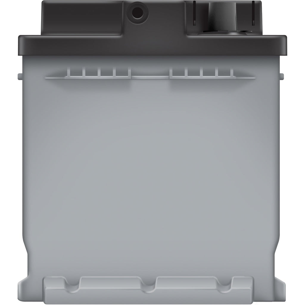 EverStart Platinum AGM Battery, Group Size H6